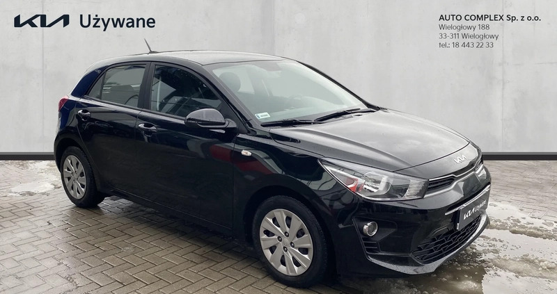 Kia Rio cena 53900 przebieg: 72050, rok produkcji 2021 z Iłża małe 254